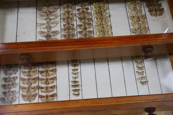 A Victorian mahogany and deal collector cabinet of moth specimens, by J.T Crockett & Son, W.52cm D.47cm H.135cm